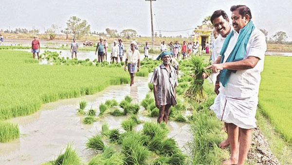 அறிவிப்புகளுக்கு மிகுந்த முக்கியத்துவம் 