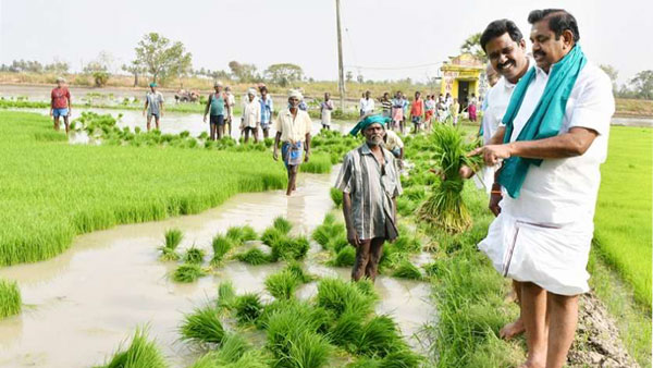 ரசீது நாளை வழங்கப்பட உள்ளது 