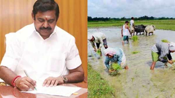 அதிமுக செய்யும் 