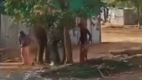 தீவிர விசாரணை 