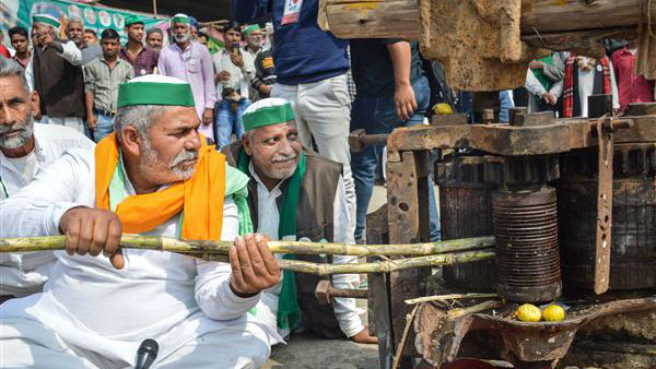 தலைநகரிலேயே விவசாயம்