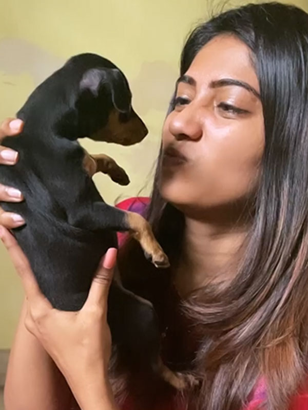 காட்டில் மழை 