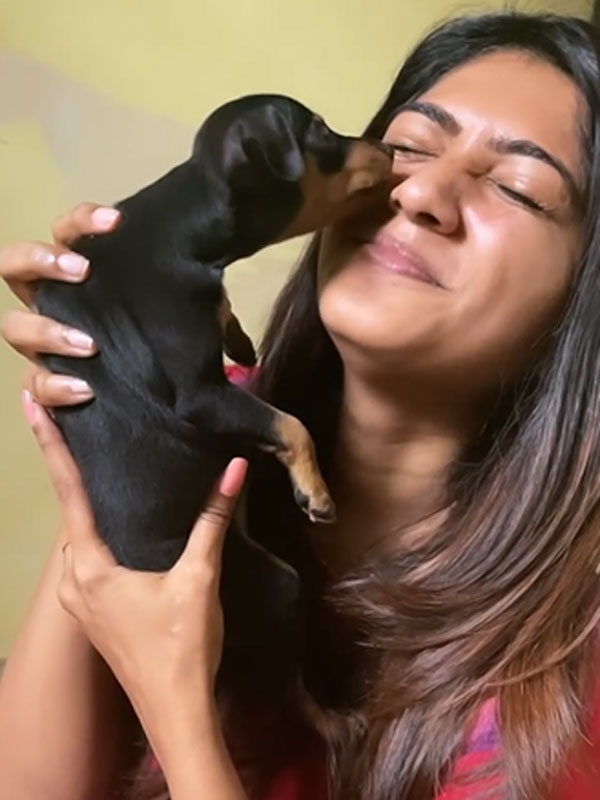 கவலைப்படவில்லை 