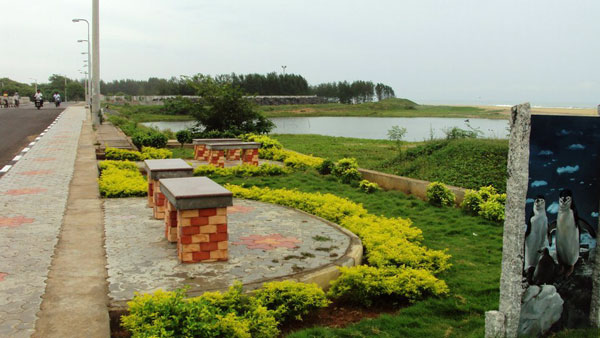 தேரியம் பயன்பாடு 