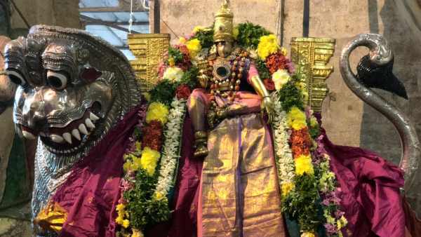 Madurai Masi Festival 2021: Meenakshi Sundareswarar strolling the streets of Chithirai Madurai Masi Festival 2021: Meenakshi Sundareswarar strolling the streets of Chithirai