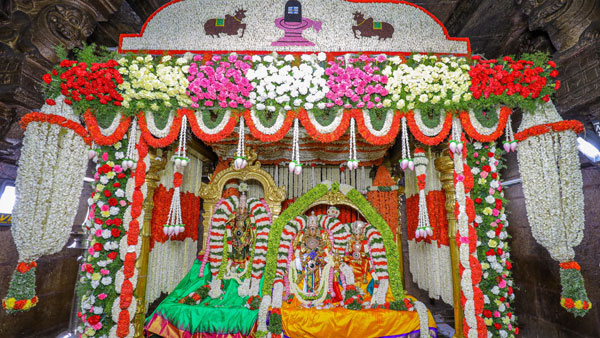 முதியவர்கள், சிறுவர்கள் தரிசனம் 