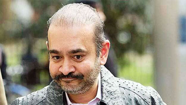 நீரவ் மோடி vs இந்தியா வாதம்