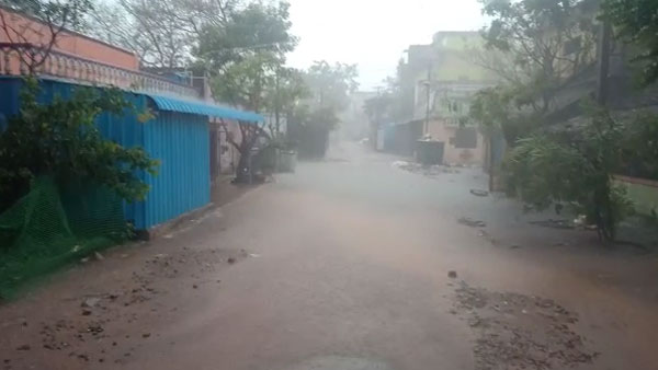 பழனியிலும் மழை பழனியிலும் மழை