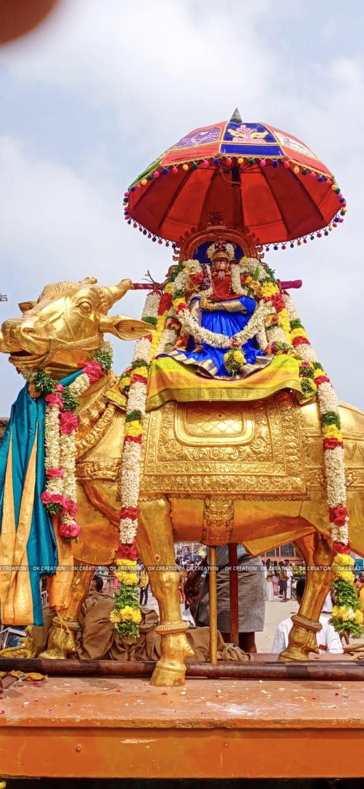 Thai Amavasai Teerthavari in Rameswaram temple 
