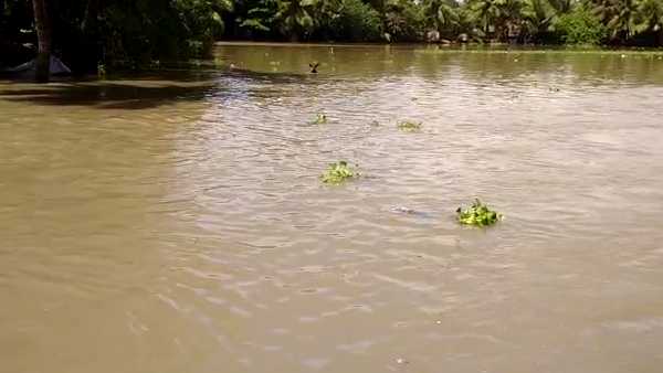 குளிர், மழை 