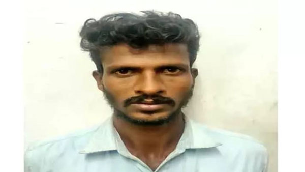 அம்மா இல்லை அம்மா இல்லை