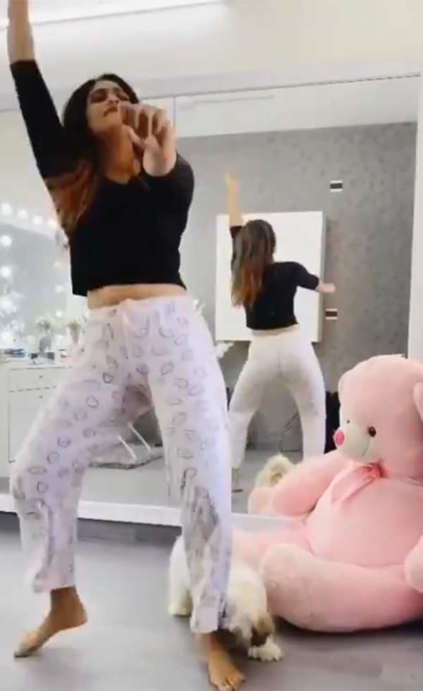 வெறித்தனமான ரசிகர்கள் 