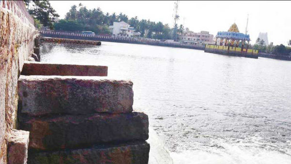 Masi Theppathiruvila at Srirangam Ranganathar Temple begins from today 