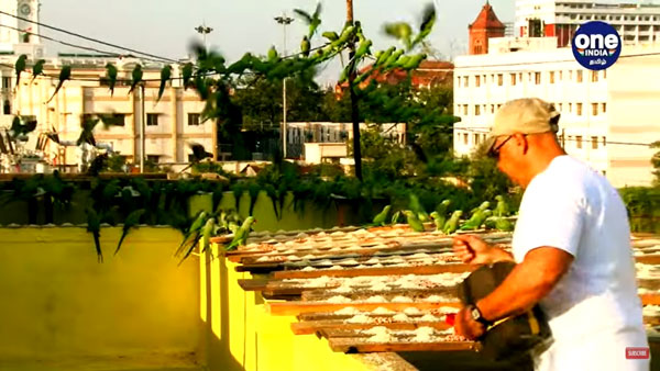 Sudarshan from Chennai feeds more than 4000 parrots daily