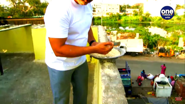 Sudarshan from Chennai feeds more than 4000 parrots daily