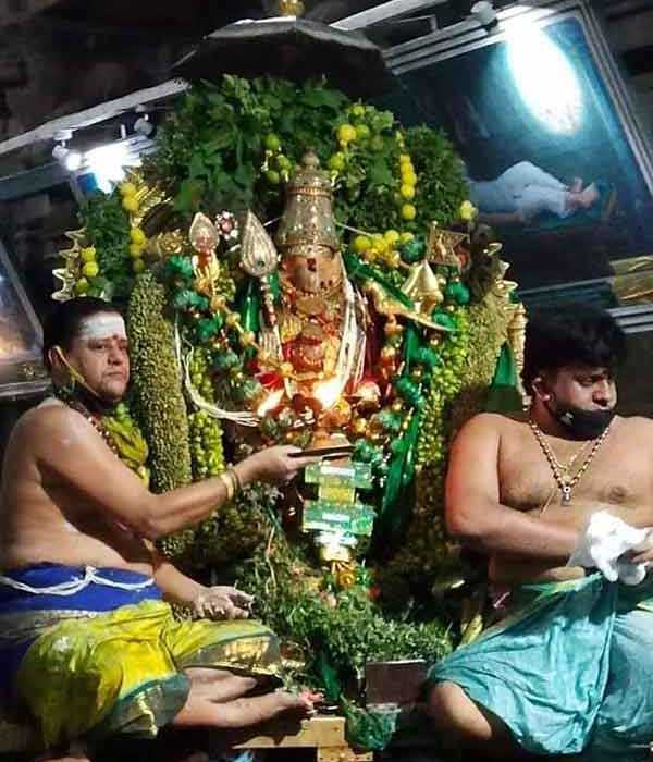 பச்சை சாத்தி பச்சை சாத்தி