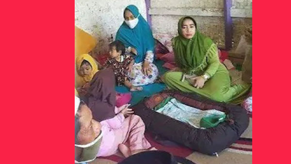 விசாரணை விசாரணை