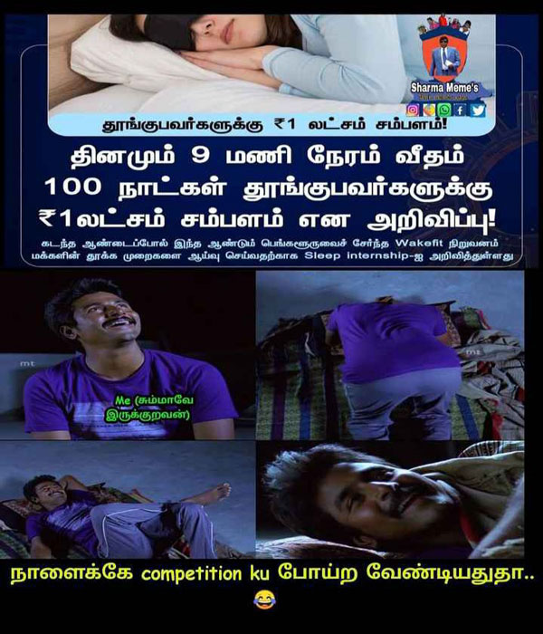 Viral memes collection on sleep champion