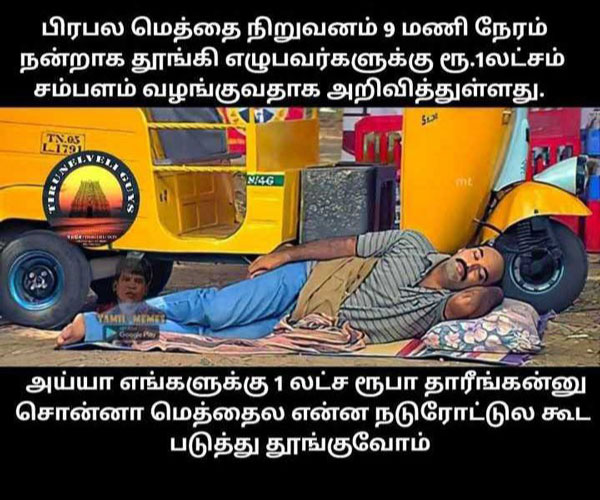 Viral memes collection on sleep champion