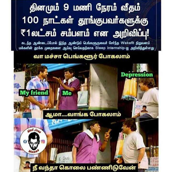 Viral memes collection on sleep champion
