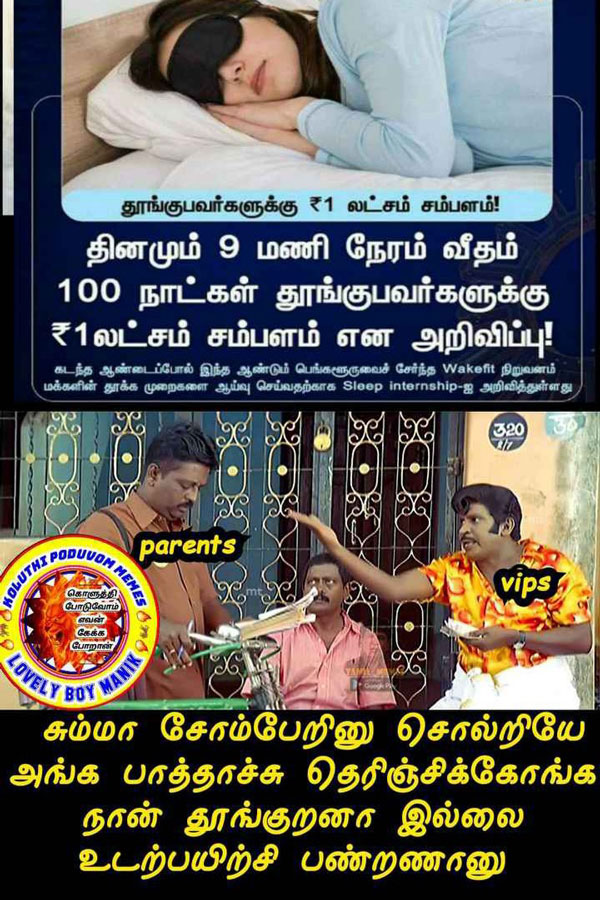 Viral memes collection on sleep champion