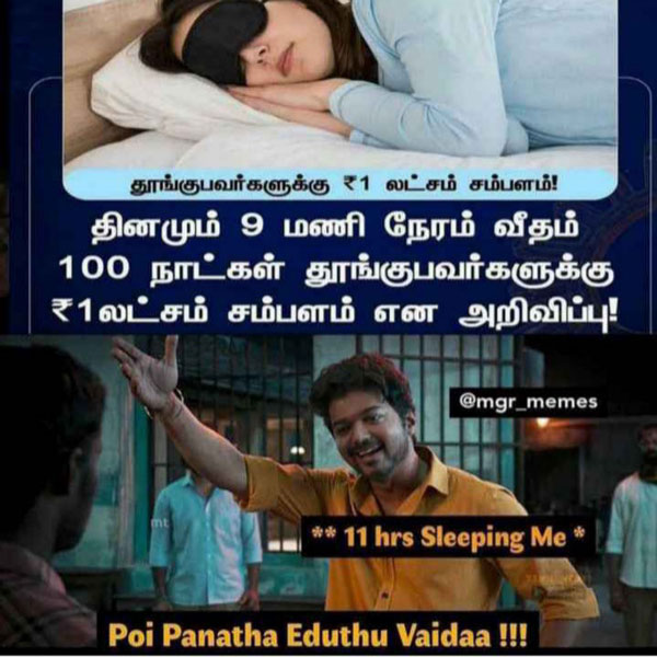 Viral memes collection on sleep champion