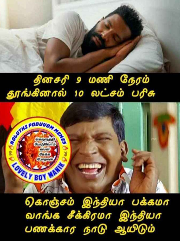 Viral memes collection on sleep champion