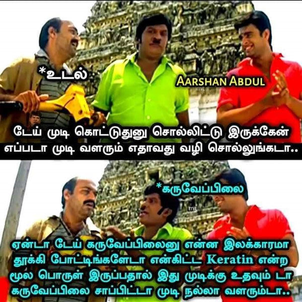 Viral memes collection on good foods