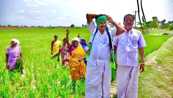 தீவிர வாக்கு சேகரிப்பு 