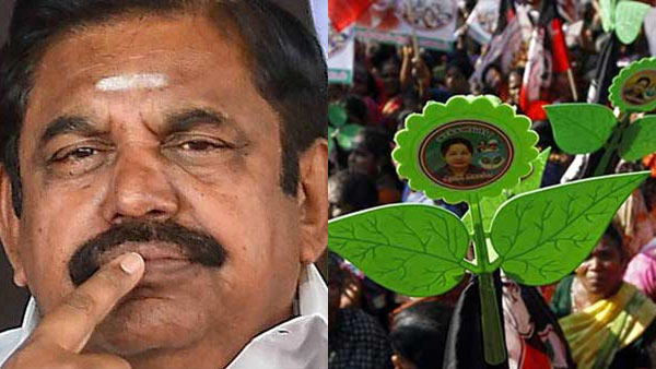 கிளீன் ஸ்வீப் இல்லை கிளீன் ஸ்வீப் இல்லை