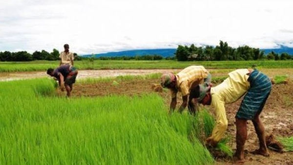 பயன்படுத்திக்கொள்ள வேண்டும்