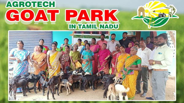 Agrotech Integrated Farmer Producer Company giving opportunity to grow goats. Agrotech Integrated Farmer Producer Company giving opportunity to grow goats.