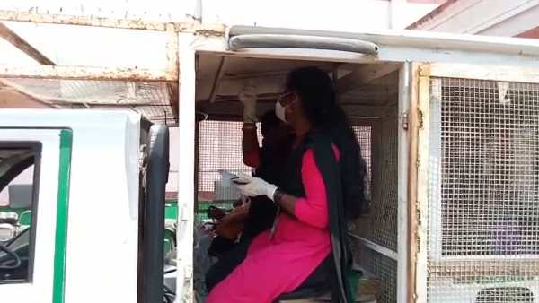 Chengalpattu municipality conducted corona test on dog catching vehicle 