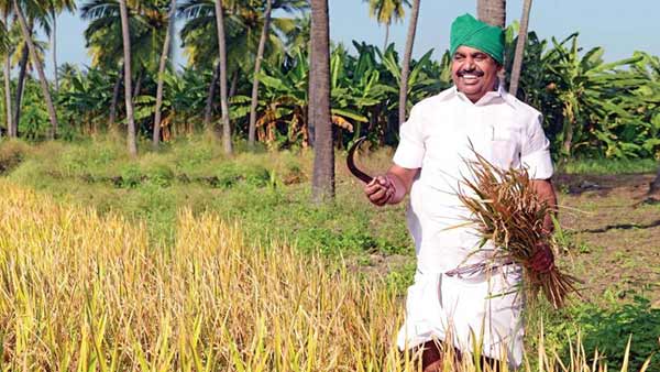 கோதாவரி - காவிரி இணைப்பு 