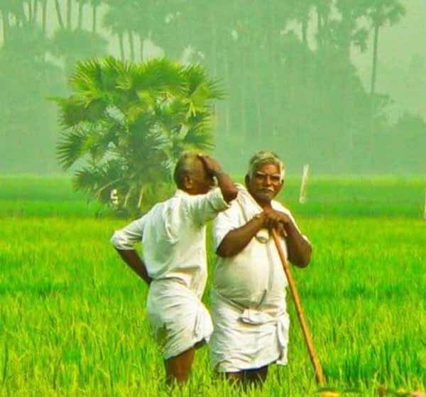வேளாண் விளை பொருட்கள் வேளாண் விளை பொருட்கள்