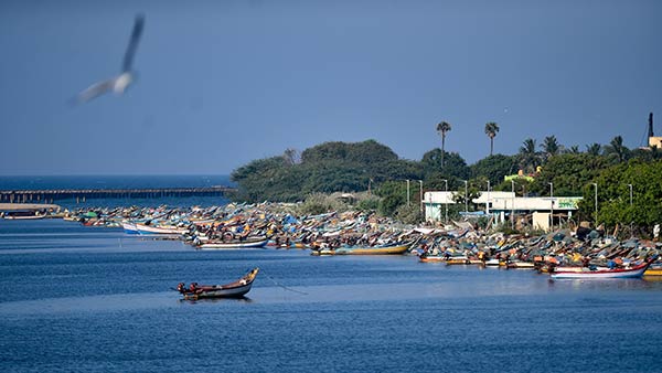  தமிழக மீனவர் பிரச்சினை 