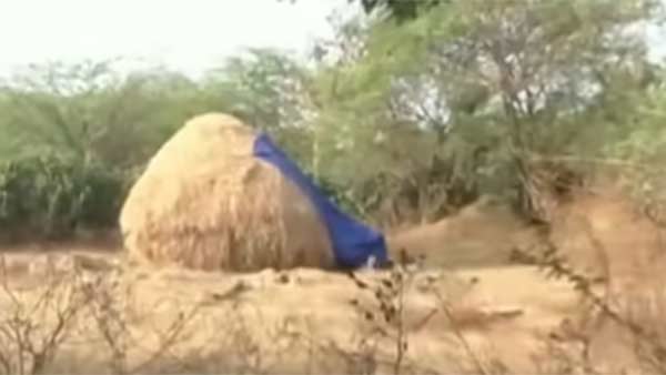 வைக்கோல்போரில் ரூ1 கோடி வைக்கோல்போரில் ரூ1 கோடி