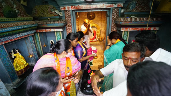 பள்ளிகளில் ஆல்பாஸ் 