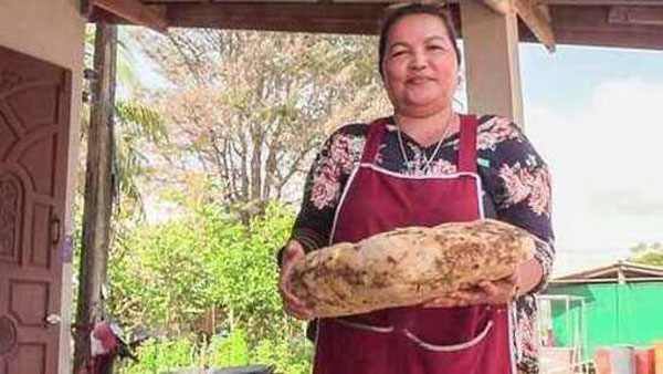 அம்பெர்கிரிஸ்