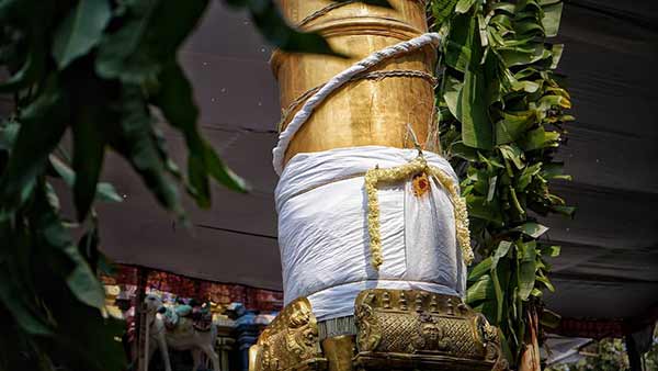 பங்குனிப்பெருவிழா பங்குனிப்பெருவிழா