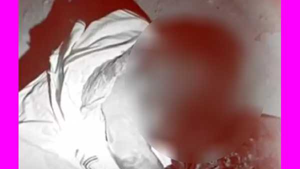 பாட்டி பாட்டி