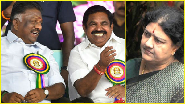 சர்வே
