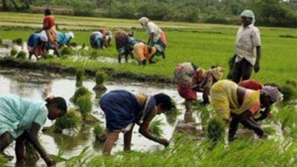 விவசாயப் பாடம் 