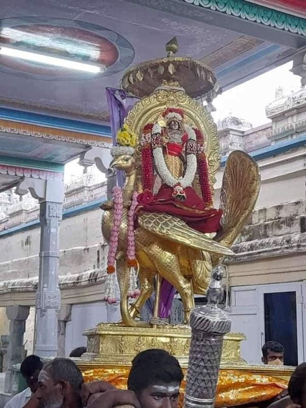 Palani Panguni Utthiram festival begins with flag hoisting 