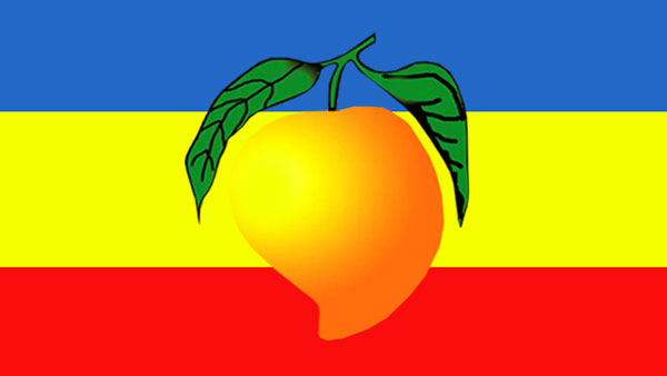 ஜெயங்கொண்டம் பாமக 