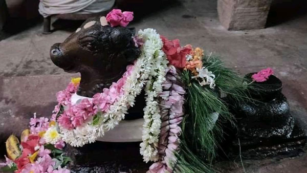 பிரதோஷ விரதம் பிரதோஷ விரதம்