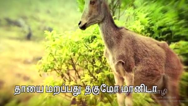 தஞ்சை தமிழ் பல்கலைக்கழகத்தில் வெளியீடு 