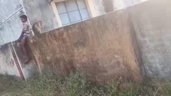 வனத்துறை 