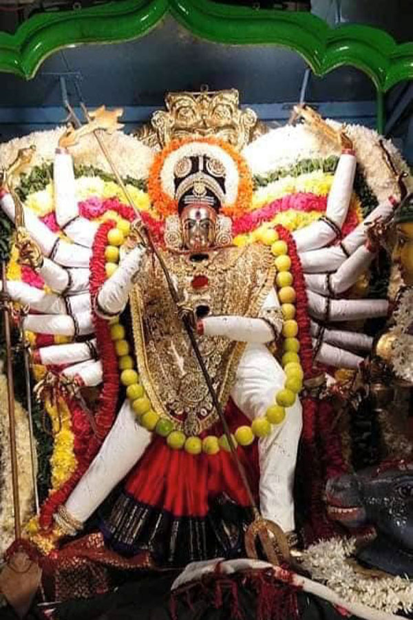 Maha Shivaratri Lakhs of devotees Shiva Darshan all over the country Maha Shivaratri Lakhs of devotees Shiva Darshan all over the country