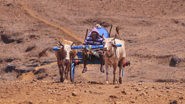 உச்சபட்ச வெப்பநிலை உச்சபட்ச வெப்பநிலை